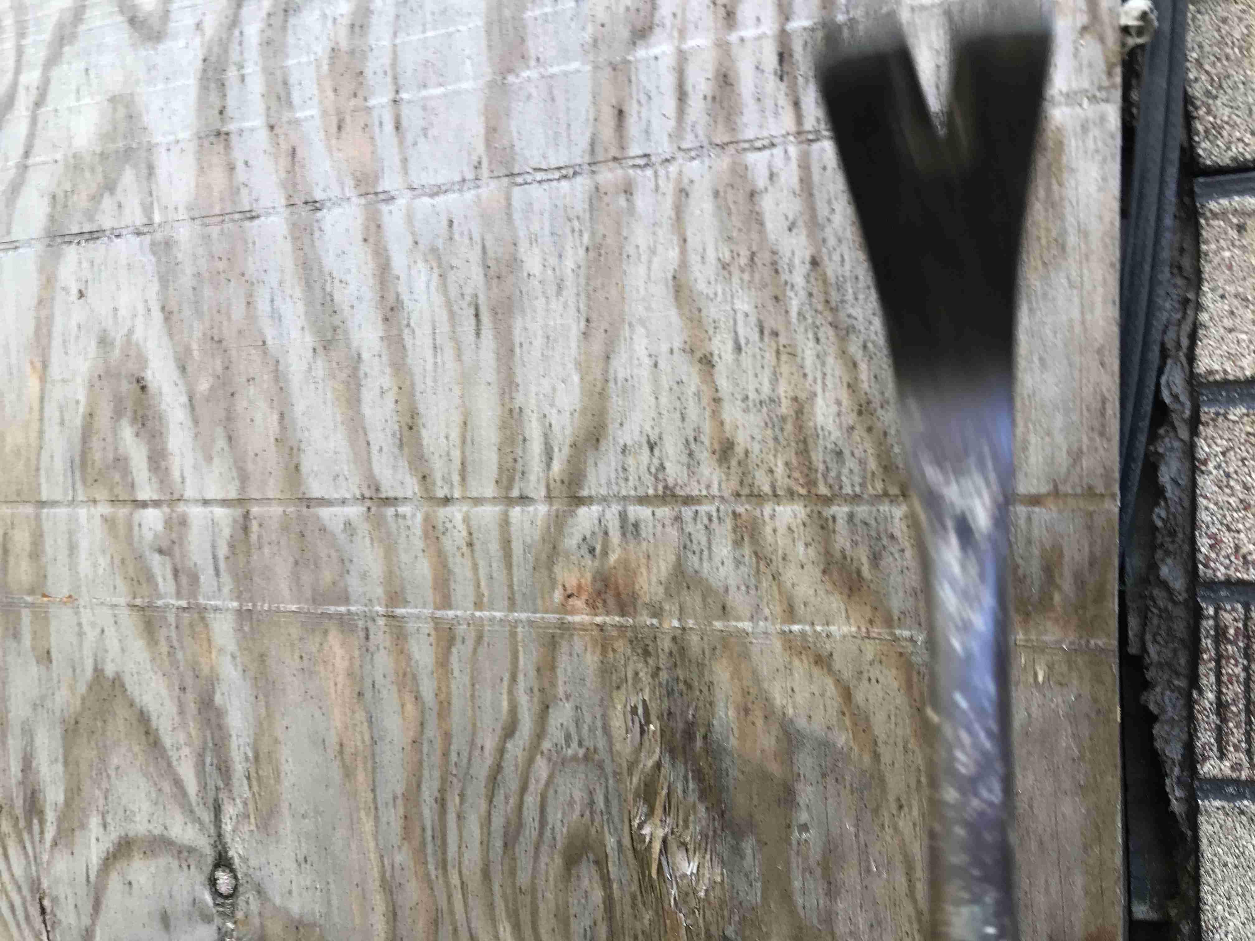 Photo Oct 13, 12 40 04 PM.jpg